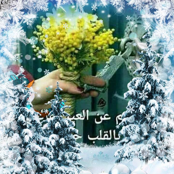 منى داود